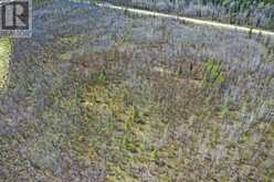 73 CLEAR LAKE ROAD N | Kapuskasing Ontario | Slide Image Three