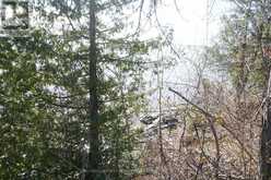 1467 LAKESHORE ROAD S | Temiskaming Shores Ontario | Slide Image Seven