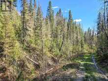 PT LT 4 CON 1 AIDIE CREEK | Englehart Ontario | Slide Image Twenty