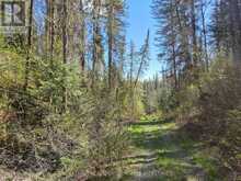 PT LT 4 CON 1 AIDIE CREEK | Englehart Ontario | Slide Image Twenty-one