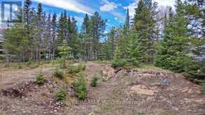 124 SUNSET BAY ROAD | Iroquois Falls Ontario | Slide Image Forty