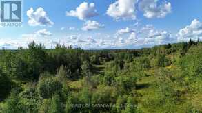 00 LONG SAULT ROAD | Cochrane Ontario | Slide Image Ten