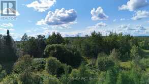 00 LONG SAULT ROAD | Cochrane Ontario | Slide Image Eight