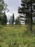 LOT 25, CON 5 KENNEDY ROAD N | Cochrane Ontario | Slide Image Fifteen