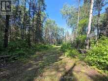 PCL 17224 NORTH SKEAD BAYLY ROAD | Kirkland Lake Ontario | Slide Image Five