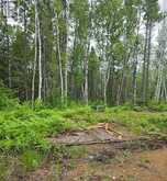 L33207 MINING CLAIM W | Kirkland Lake Ontario | Slide Image Eleven