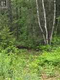 L33207 MINING CLAIM W | Kirkland Lake Ontario | Slide Image Twelve