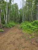L33207 MINING CLAIM W | Kirkland Lake Ontario | Slide Image Twenty-one