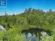 MOONBEAM - 45A CHAIN OF LAKES ROAD | Kapuskasing Ontario | Slide Image Forty-seven