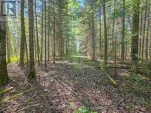 LOT 14 CON 9 BLOUNT TWSP | Cochrane Ontario | Slide Image Five