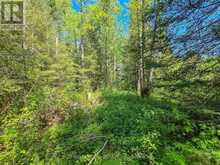 LOT 14 CON 9 BLOUNT TWSP | Cochrane Ontario | Slide Image Six