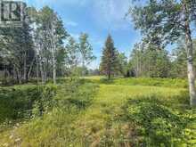 4963 HIGHWAY 11 HIGHWAY S | Black River-Matheson Ontario | Slide Image Ten