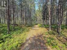 4963 HIGHWAY 11 HIGHWAY S | Black River-Matheson Ontario | Slide Image Six