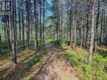 4963 HIGHWAY 11 HIGHWAY S | Black River-Matheson Ontario | Slide Image Nine