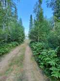 91927 LOONLAKE DRIVE | Temiskaming Shores Ontario | Slide Image Twenty-three