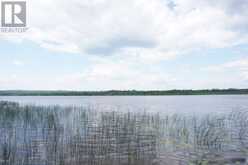 PCL 21422 SKELETON LAKE | Englehart Ontario | Slide Image Forty-one