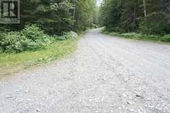 PCL 21422 SKELETON LAKE | Englehart Ontario | Slide Image Forty-seven