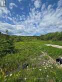 PART OF LOT 2 CON 5 HIGHWAY 65 HIGHWAY E | Temiskaming Shores Ontario | Slide Image Five