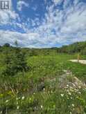 PART OF LOT 2 CON 5 HIGHWAY 65 HIGHWAY E | Temiskaming Shores Ontario | Slide Image Six