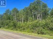 0000 PENNA SHAFT ROAD | Temiskaming Shores Ontario | Slide Image Two