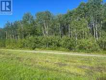 0000 PENNA SHAFT ROAD | Temiskaming Shores Ontario | Slide Image Three