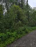 PCL 15528 & 15527 MARTIN BIRD ROAD | Kirkland Lake Ontario | Slide Image Two