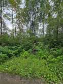 PCL 15528 & 15527 MARTIN BIRD ROAD | Kirkland Lake Ontario | Slide Image Seven