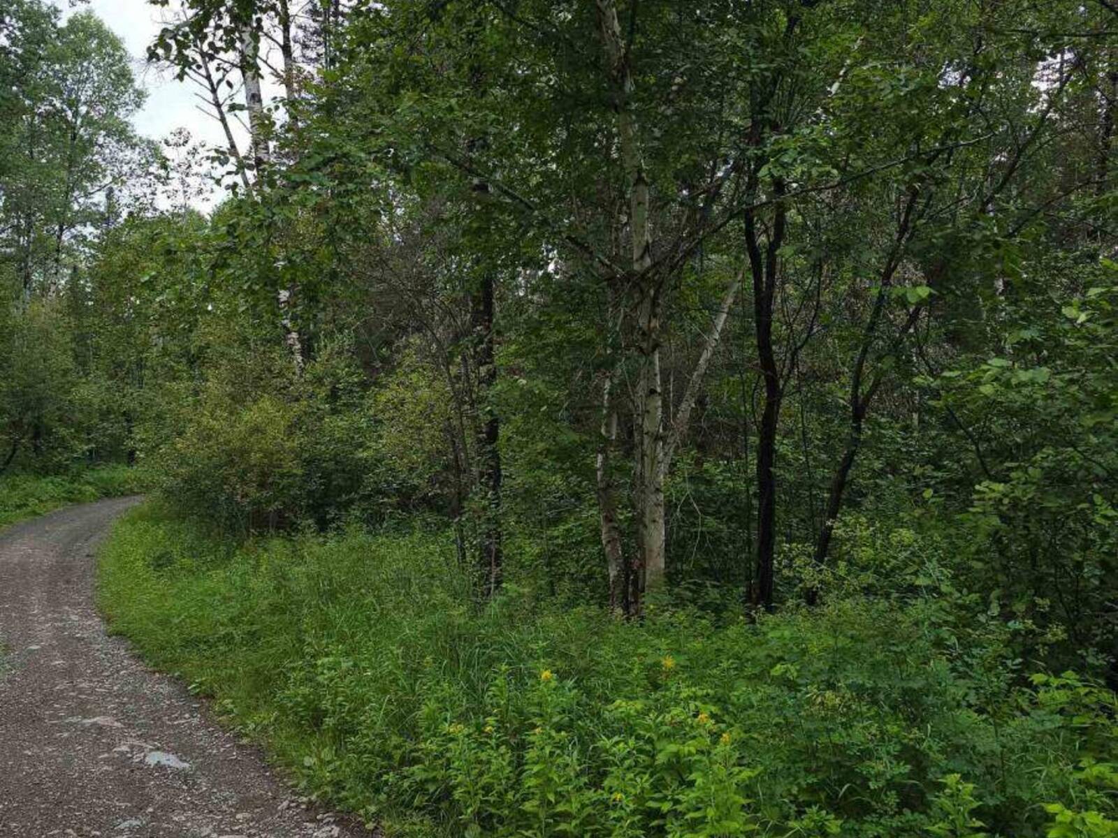 PCL 15528 & 15527 MARTIN BIRD ROAD, Kirkland Lake, Ontario P0K 1L0
