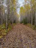 LOT 23 CONCESSION 11 ROAD | Cochrane Ontario | Slide Image Thirty-four