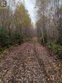 LOT 23 CONCESSION 11 ROAD | Cochrane Ontario | Slide Image Thirty-two
