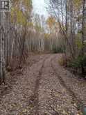 LOT 23 CONCESSION 11 ROAD | Cochrane Ontario | Slide Image Thirty-three