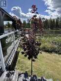 LOT 11 CARMAN TOWNSHIP | Timmins Ontario | Slide Image Twenty-three
