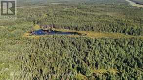 LT 2 CONC 1 CALDER TOWNSHIP | Cochrane Ontario | Slide Image Seven