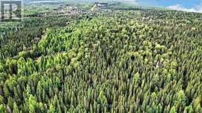 LOT 1 CONC 10 CONCESSION | Cochrane Ontario | Slide Image Twelve