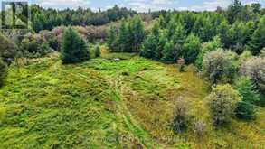 LOT 1 CONC 10 CONCESSION | Cochrane Ontario | Slide Image Eighteen