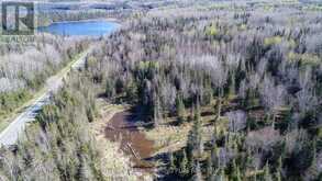 PC13528 624 HIGHWAY | Kirkland Lake Ontario | Slide Image Sixteen