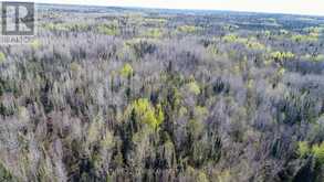 PC13528 624 HIGHWAY | Kirkland Lake Ontario | Slide Image Seventeen