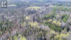 PC13528 624 HIGHWAY | Kirkland Lake Ontario | Slide Image Twenty-four