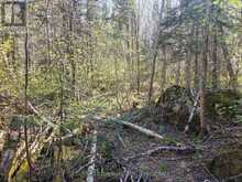 PC13528 624 HIGHWAY | Kirkland Lake Ontario | Slide Image Thirty-eight
