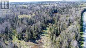 PC13528 624 HIGHWAY | Kirkland Lake Ontario | Slide Image Nine