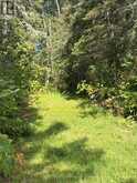 234389 WENDIGO LAKE ROAD | Englehart Ontario | Slide Image Twenty-one