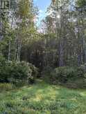 234389 WENDIGO LAKE ROAD | Englehart Ontario | Slide Image Twenty-two