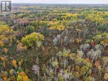 SHALF LT 6 CON 2 DAY MAR ROAD | Englehart Ontario | Slide Image Twenty-nine