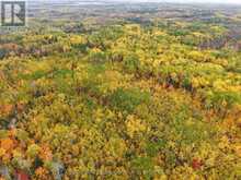 SHALF LT 6 CON 2 DAY MAR ROAD | Englehart Ontario | Slide Image Thirty-five
