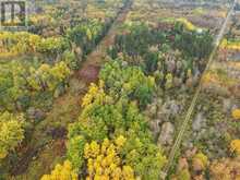 SHALF LT 6 CON 2 DAY MAR ROAD | Englehart Ontario | Slide Image Forty