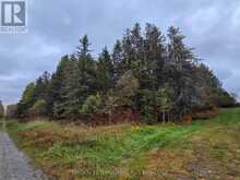 SHALF LT 6 CON 2 DAY MAR ROAD | Englehart Ontario | Slide Image Four
