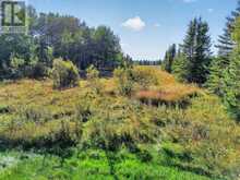 4093 HWY 11 SOUTH HIGHWAY | Black River-Matheson Ontario | Slide Image Thirty-three