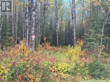 CON 1 N PT LOT 3 MCCART | Iroquois Falls Ontario | Slide Image One