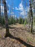 CON 1 N PT LOT 3 MCCART | Iroquois Falls Ontario | Slide Image Three