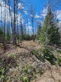 CON 1 N PT LOT 3 MCCART | Iroquois Falls Ontario | Slide Image Four